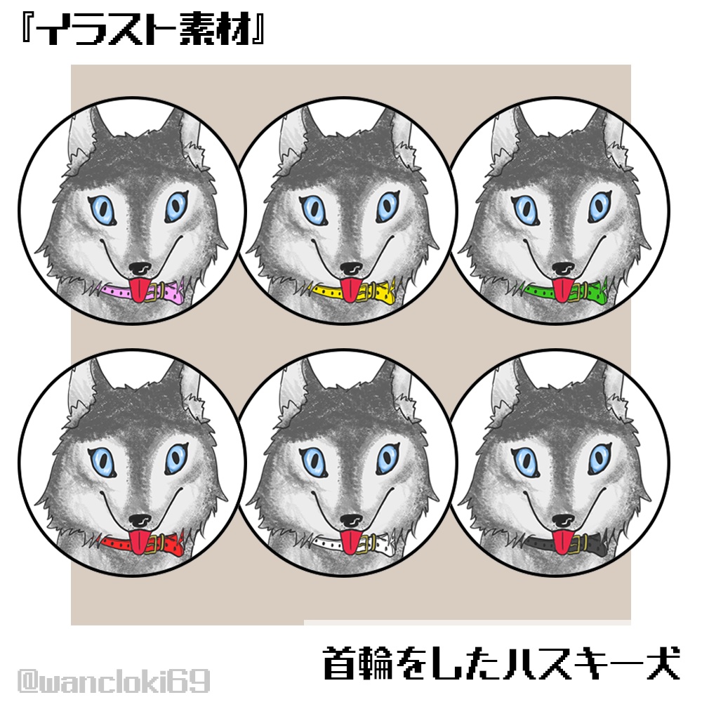 【素材配布】首輪をしたハスキー犬