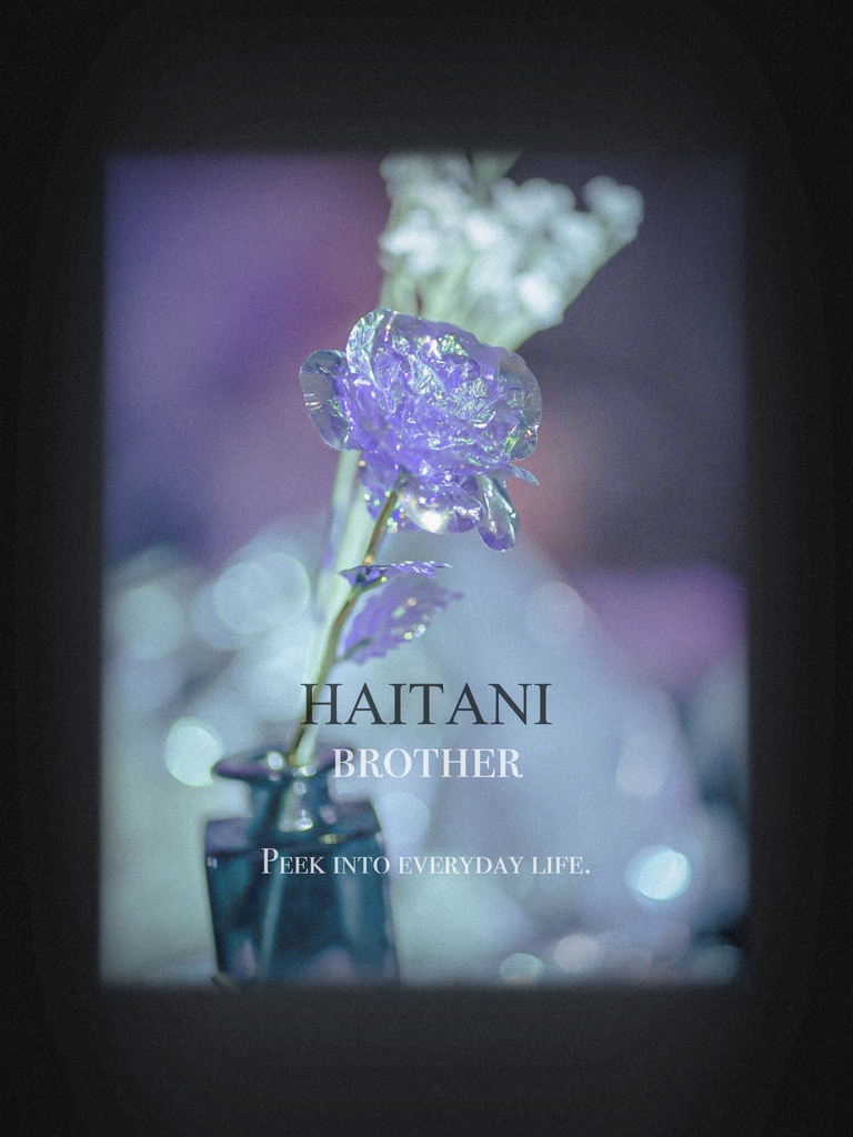 HAITANI BROTHER  【PEEK INTO EVERYDAY LIFE.】