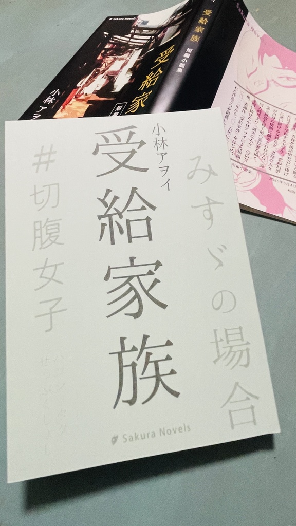 《希少本》『受給家族』小林アヲイ/さくらノベルス/小説・短編集・コメディ