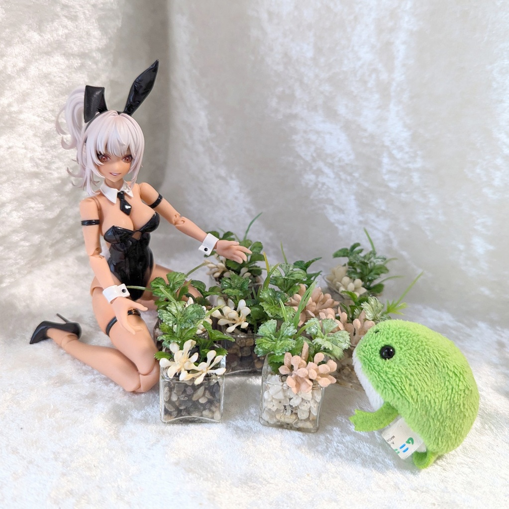 ミニチュア プラント（観葉植物）ガラス鉢タイプ