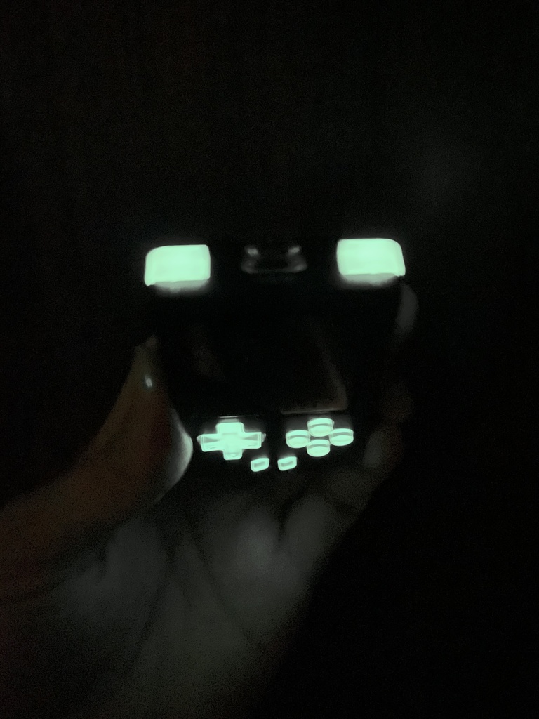 RG Nano用 ボタンセット クリアー+蓄光