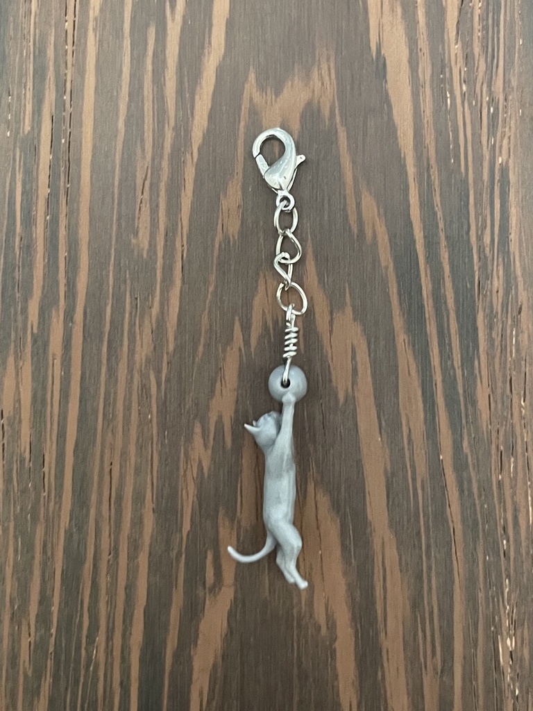 ダイビングキャッチねこ