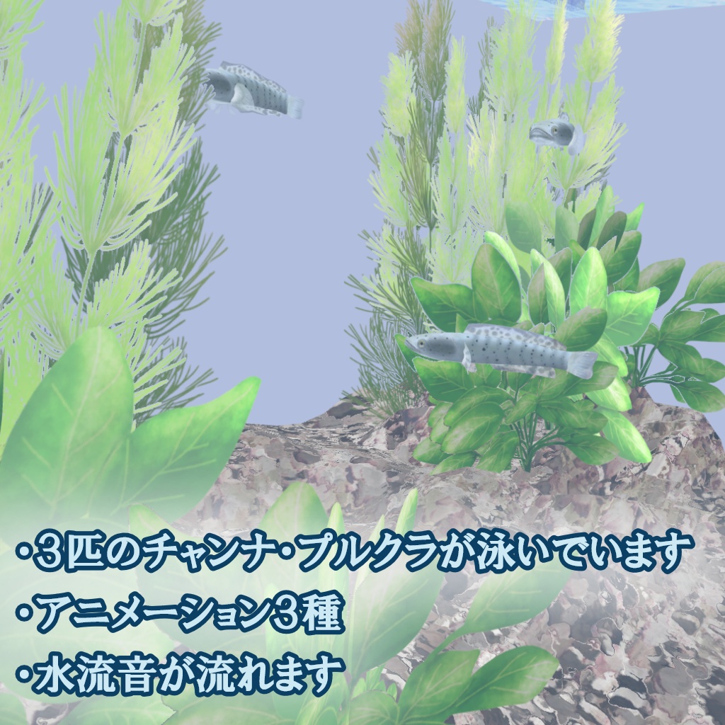 【3Dモデル】アクアリウム(チャンナ・プルクラの稚魚)
