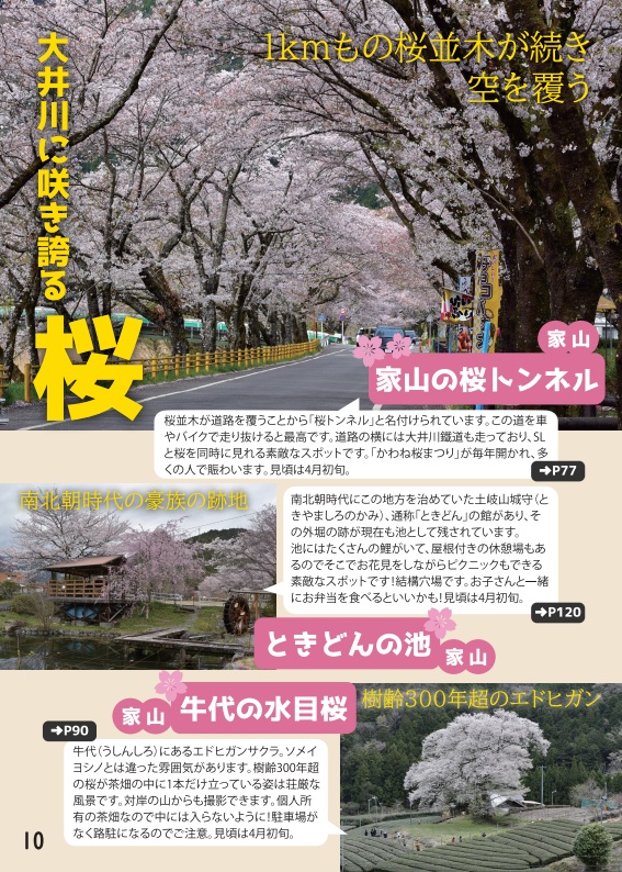 【書籍版】るるる大井川2022