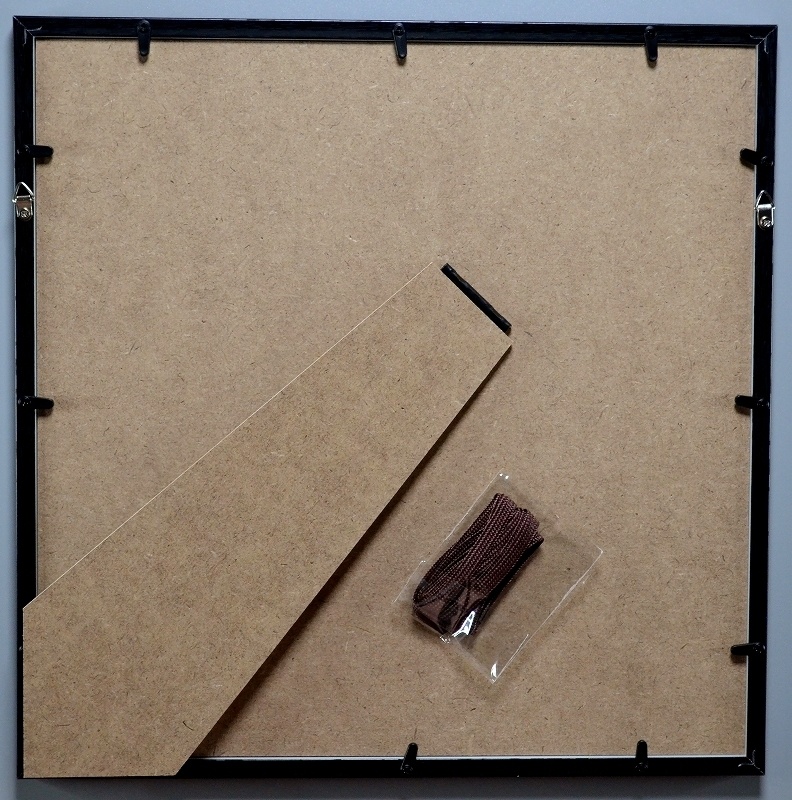 【数量限定】「ナニ期待してんの?」オリジナルイラスト(額装済)