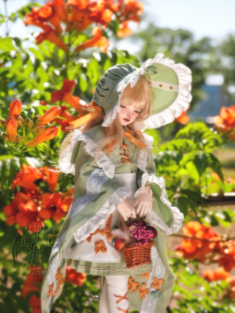 【先行予約準備中】秋の便り|MDD・SDM・Kumako・幼SD・Tinyfox対応 1/4・1/6ドール服6点セット