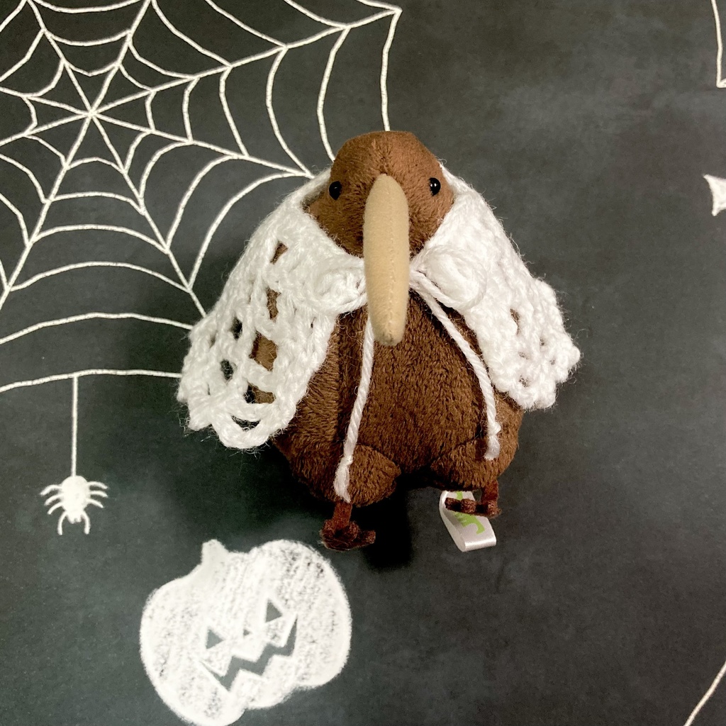 クモの巣ケープ/つけえり