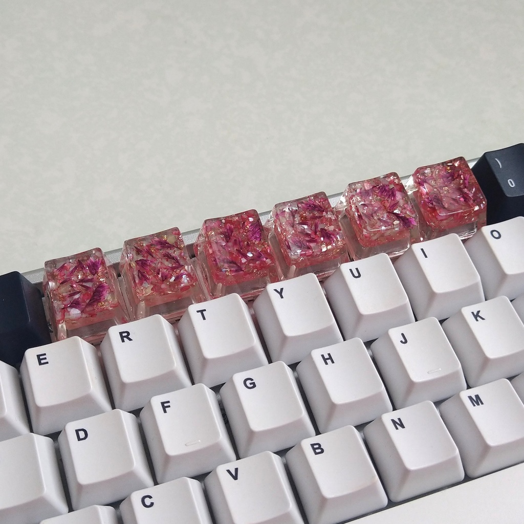 キーキャップ ドライフラワー カスピア ピンク