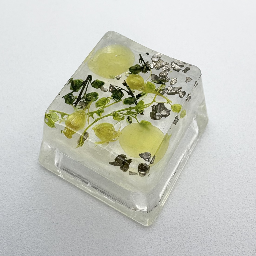 キーキャップ ドライフラワー 緑