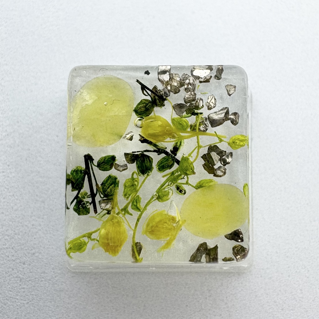 キーキャップ ドライフラワー 緑