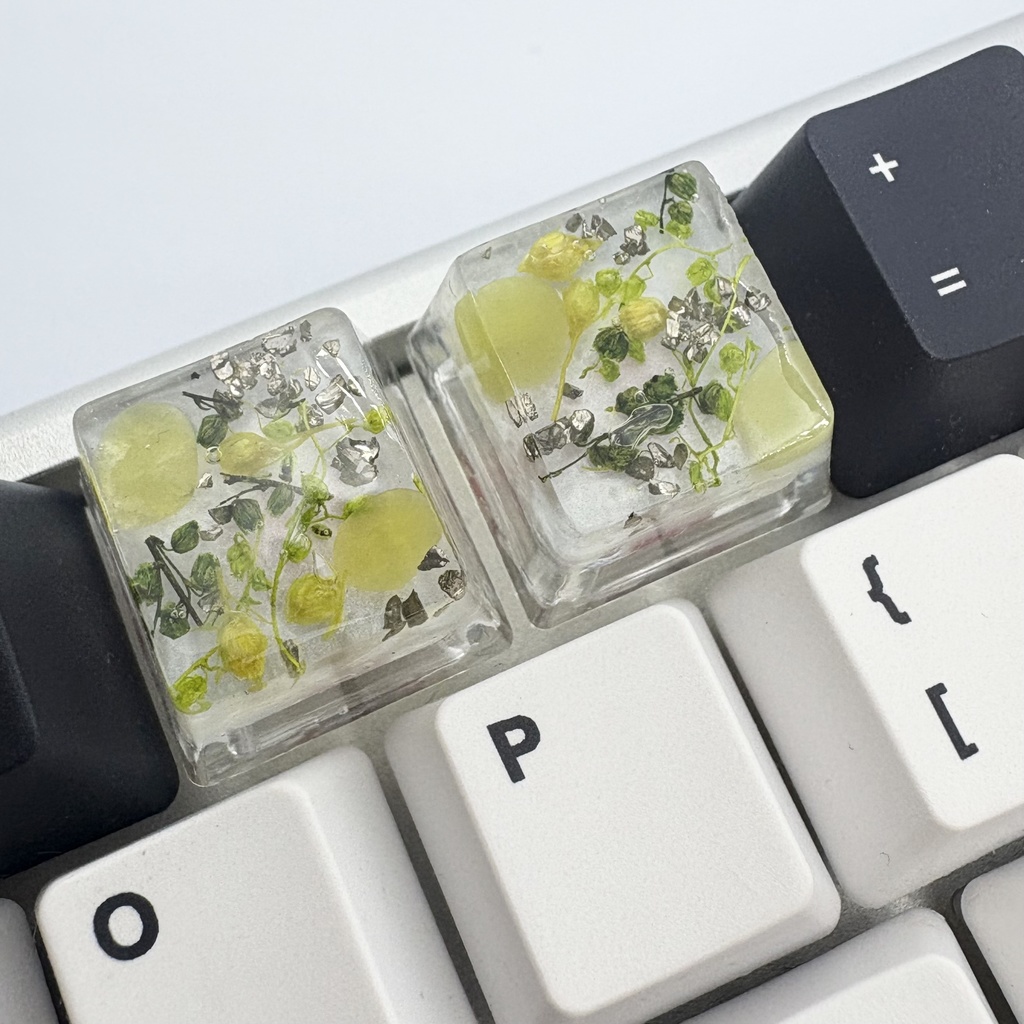 キーキャップ ドライフラワー 緑