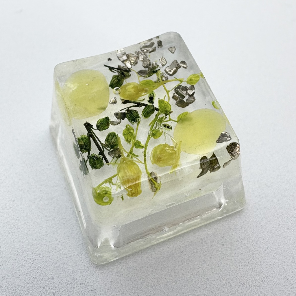 キーキャップ ドライフラワー 緑