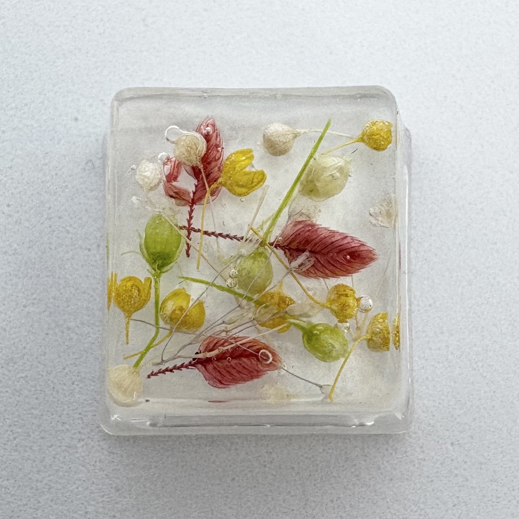 キーキャップ ドライフラワー 白