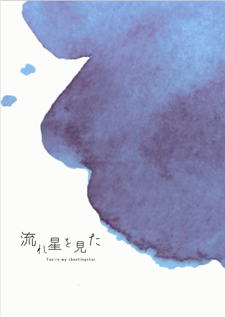 流れ星を見た