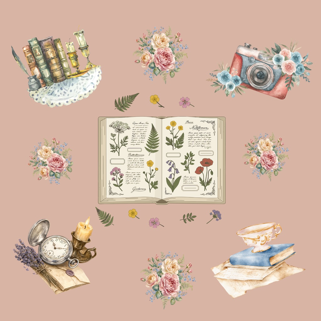 • 【背景素材】ボタニカル図鑑とアンティークコラージュ 6枚セット 2000×2000px(Canva Pro使用/PNG/商用利用OK)