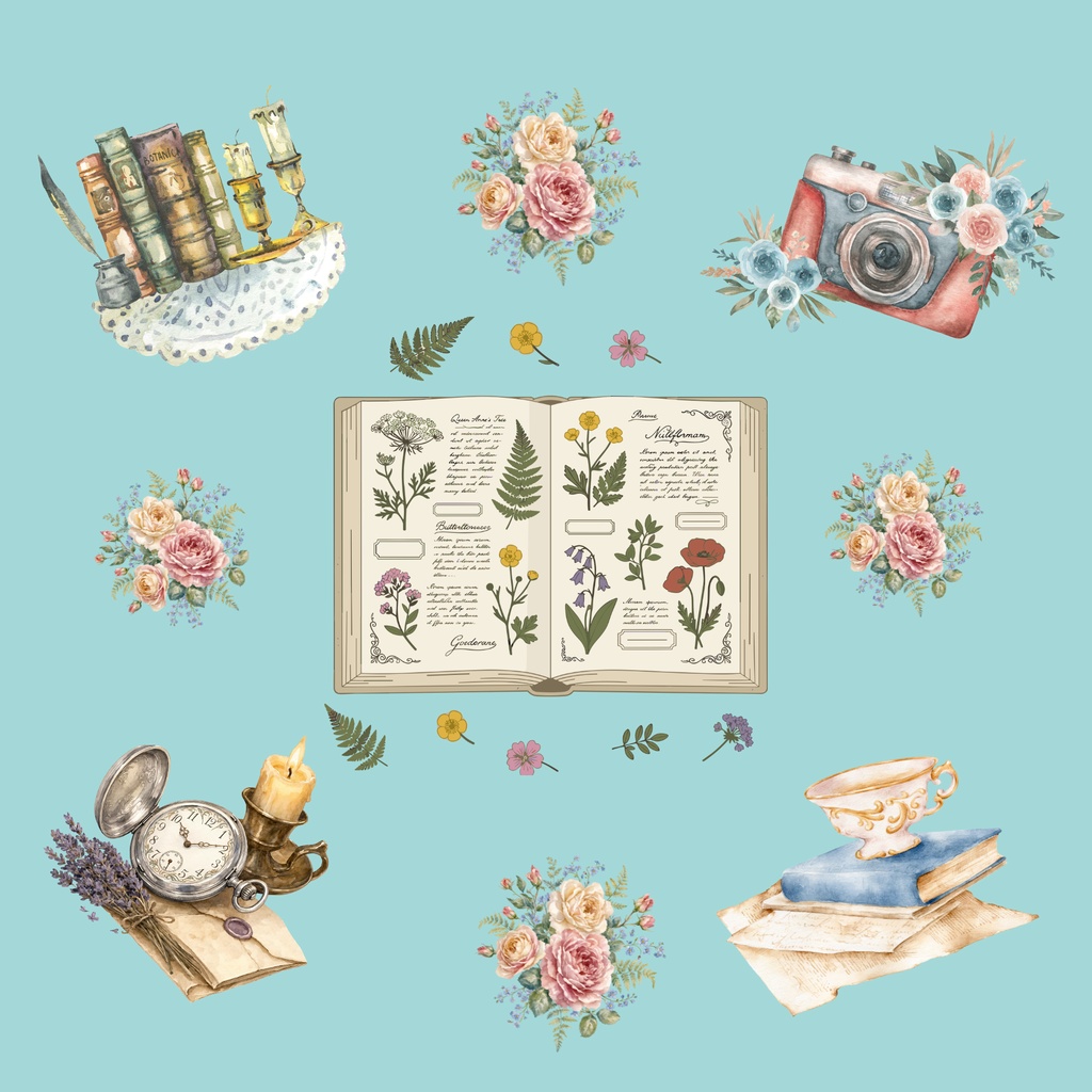 • 【背景素材】ボタニカル図鑑とアンティークコラージュ 6枚セット 2000×2000px（Canva Pro使用/PNG/商用利用OK）
