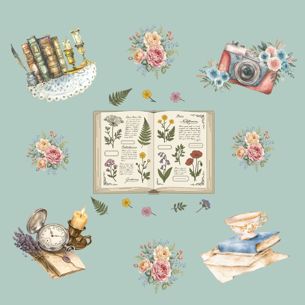 • 【背景素材】ボタニカル図鑑とアンティークコラージュ 6枚セット 2000×2000px(Canva Pro使用/PNG/商用利用OK)