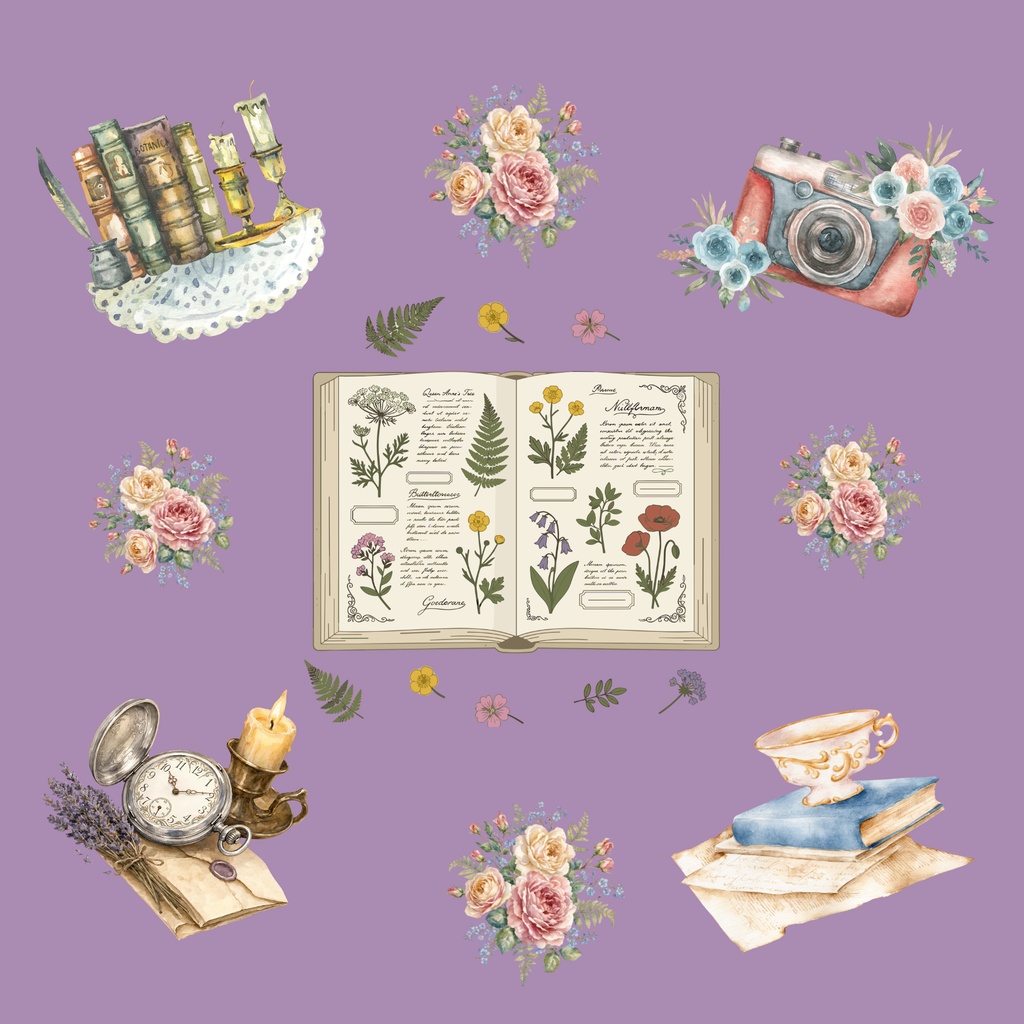 • 【背景素材】ボタニカル図鑑とアンティークコラージュ 6枚セット 2000×2000px(Canva Pro使用/PNG/商用利用OK)
