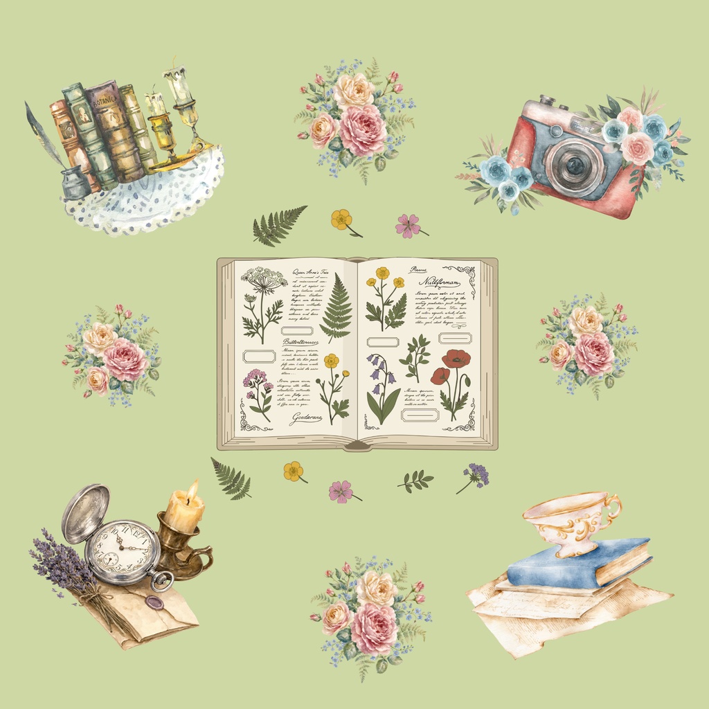 • 【背景素材】ボタニカル図鑑とアンティークコラージュ 6枚セット 2000×2000px(Canva Pro使用/PNG/商用利用OK)