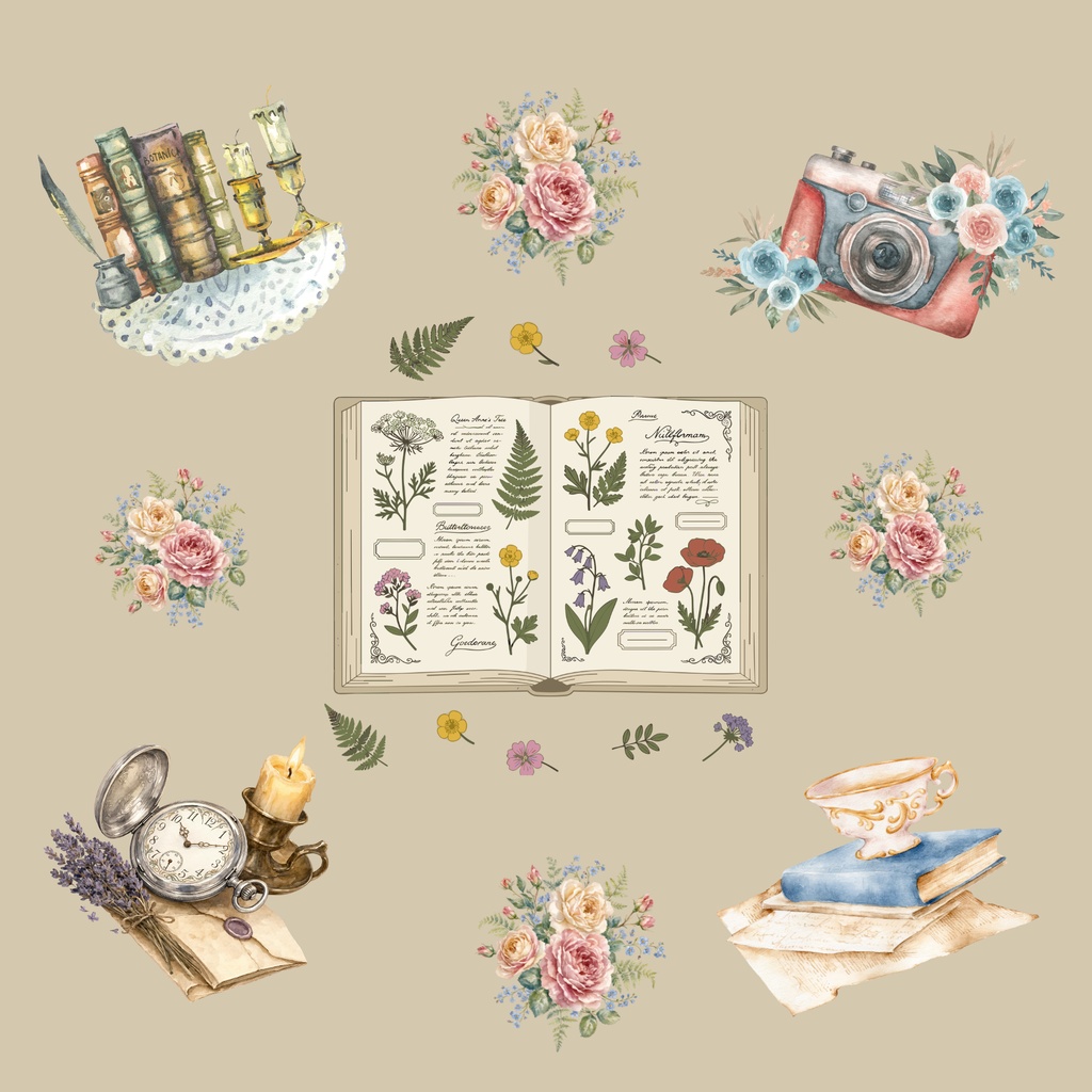 • 【背景素材】ボタニカル図鑑とアンティークコラージュ 6枚セット 2000×2000px(Canva Pro使用/PNG/商用利用OK)