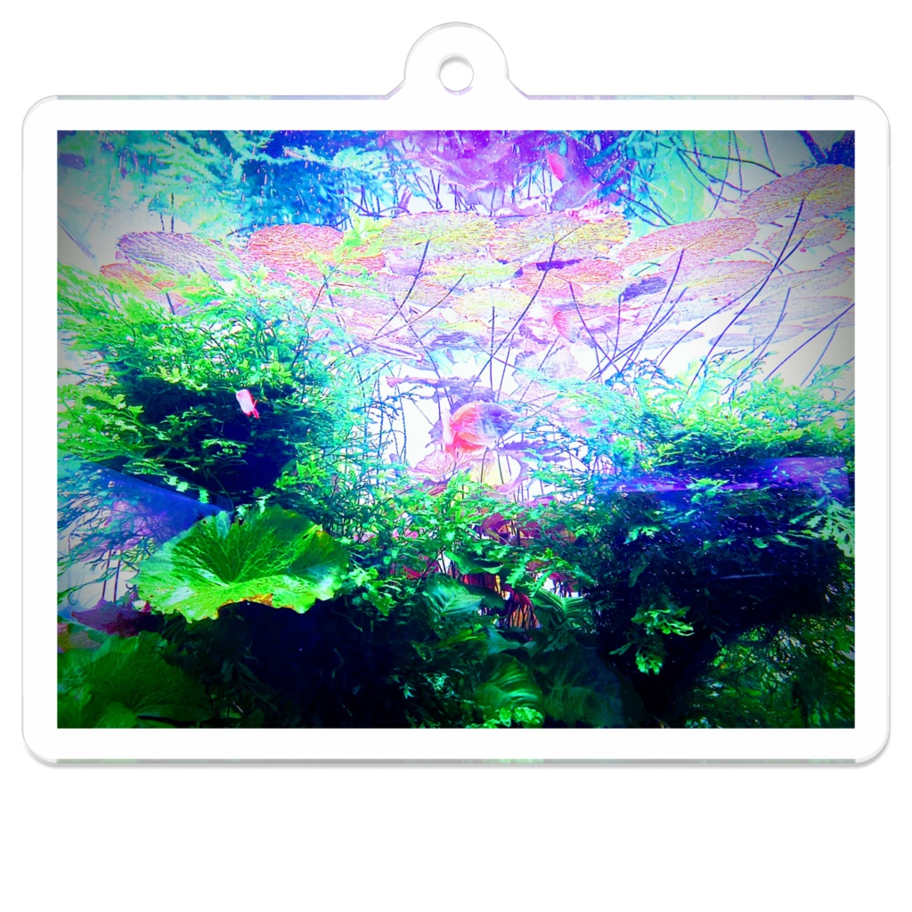 アクリルキーホルダー 魚