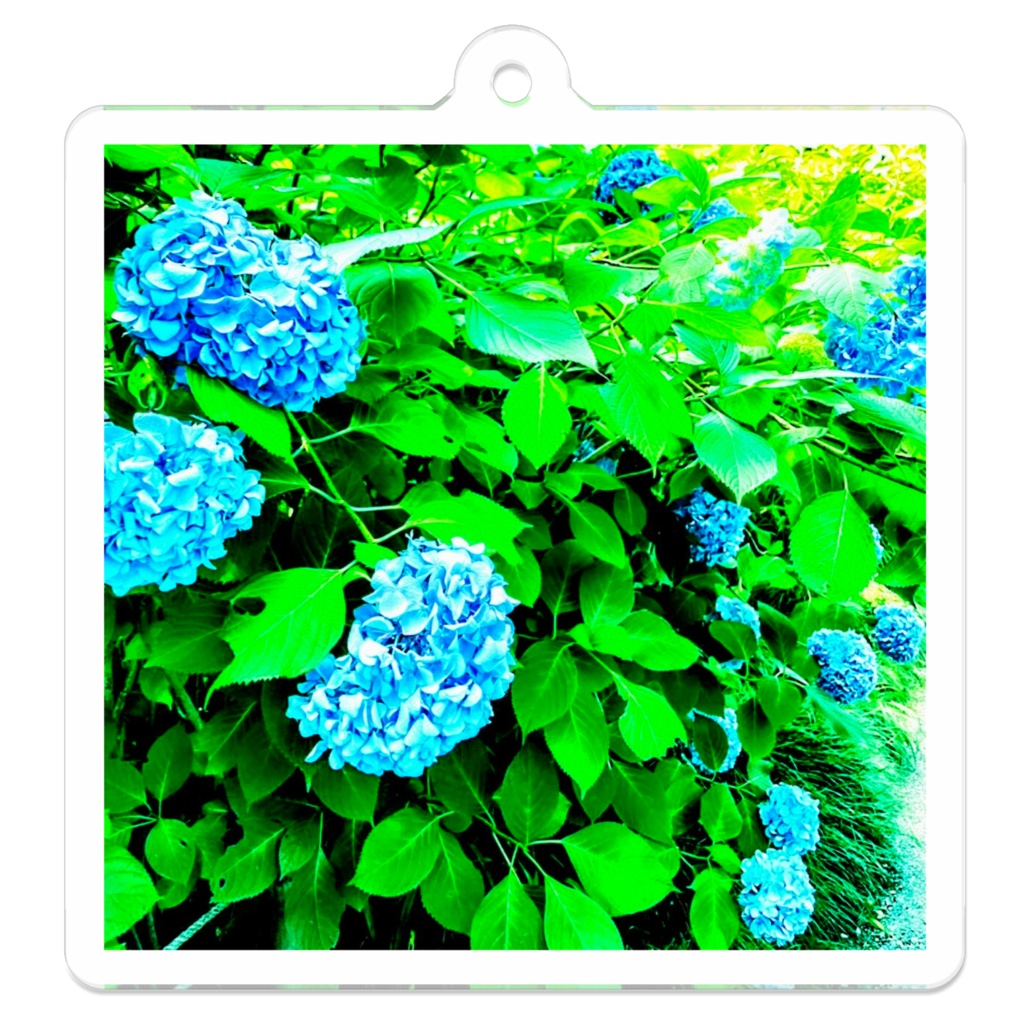 アクリルキーホルダー　紫陽花