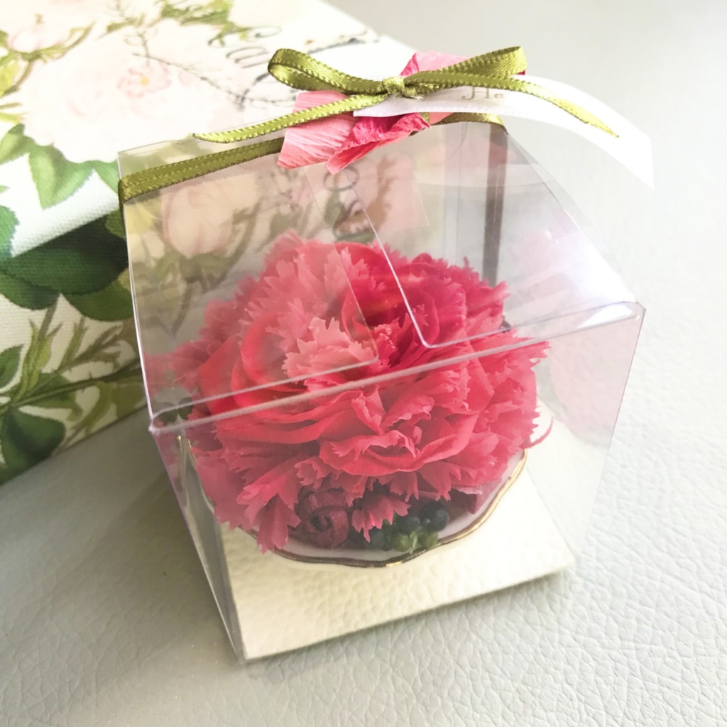 綾の紅(あやのべに) -小さな物語シリーズ-