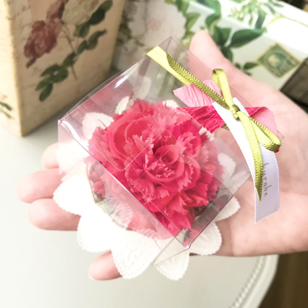 綾の紅(あやのべに) -小さな物語シリーズ-