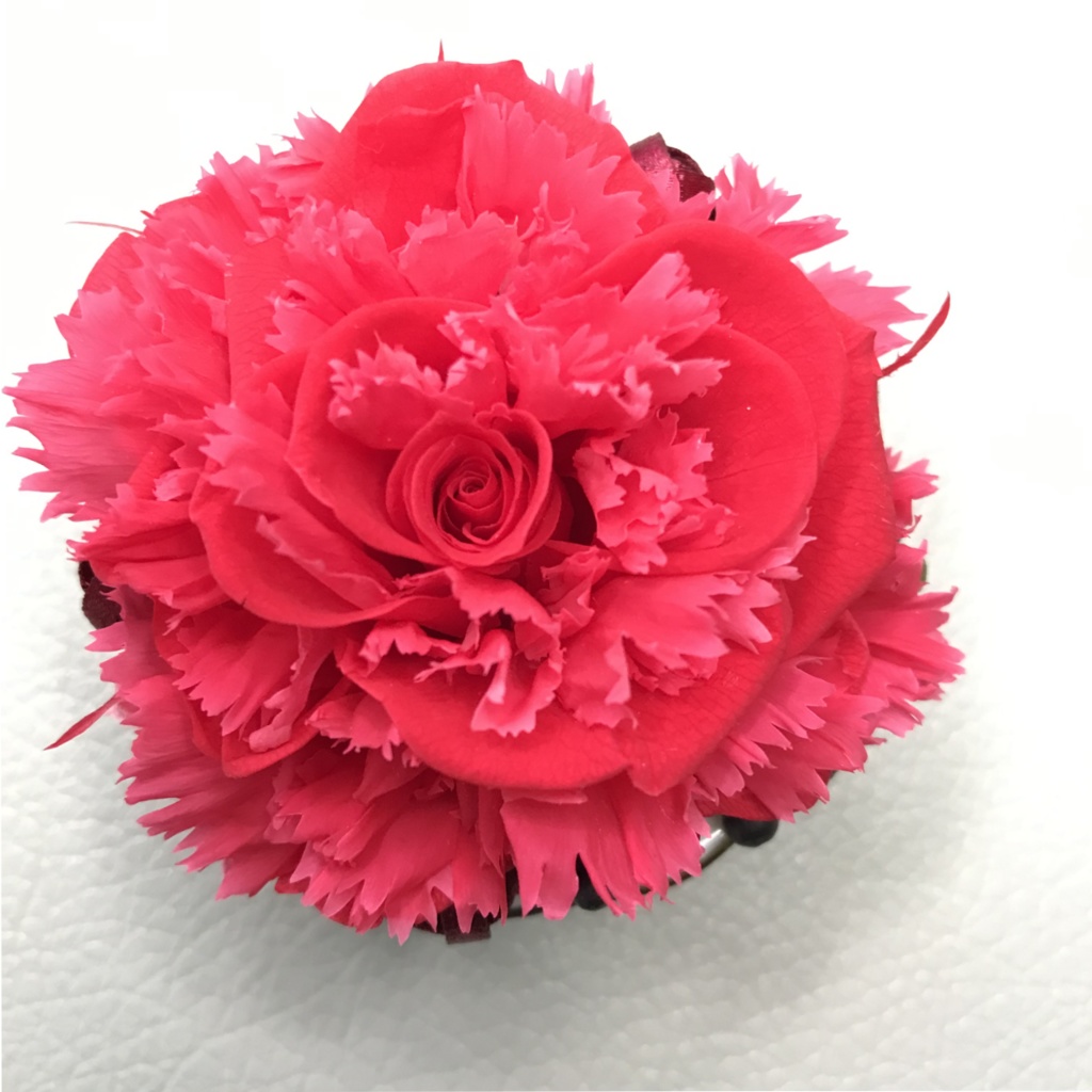 綾の紅(あやのべに) -小さな物語シリーズ-