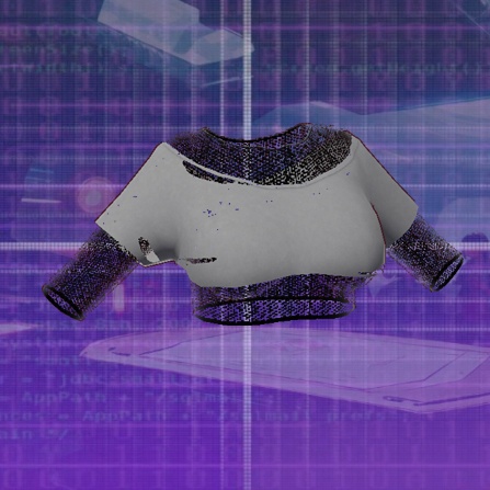 Ripped Crop Top
