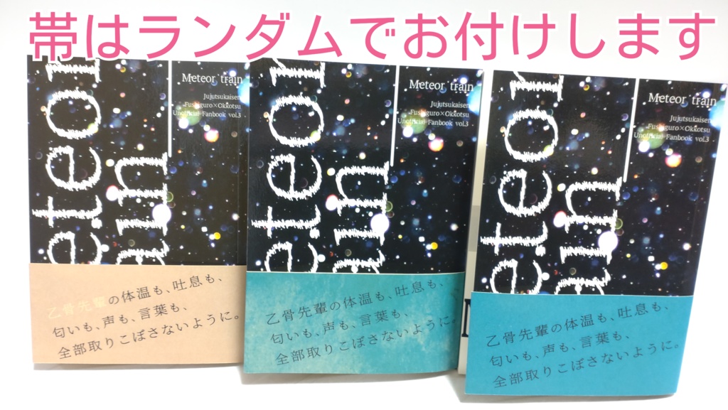 伏乙/Meteor train