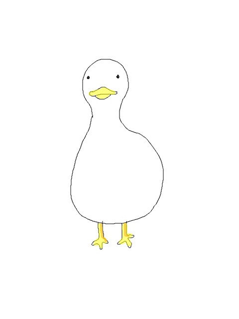 ほとんど鳥