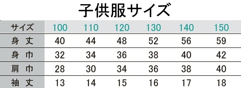 ドライメッシュTシャツ 古明地こいし1