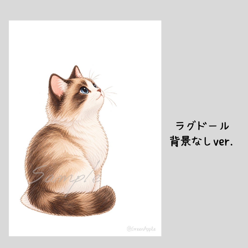 【デジタルポスター】見上げる猫|8枚セット