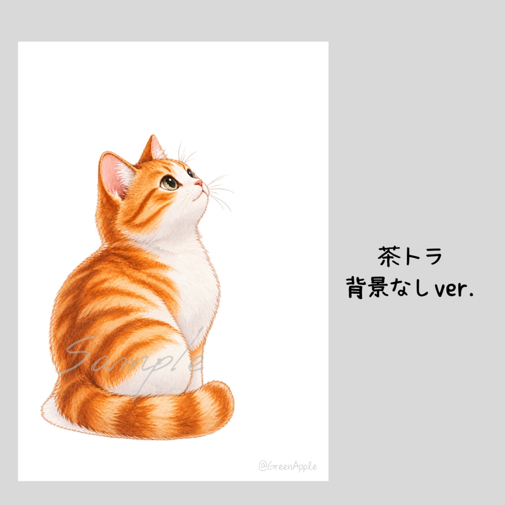 【デジタルポスター】見上げる猫|8枚セット