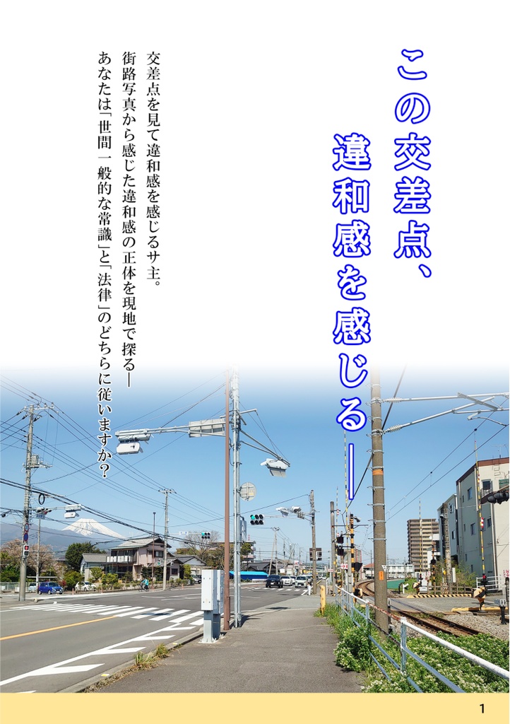 ちょっとまった!! その信号はNG CASE.5