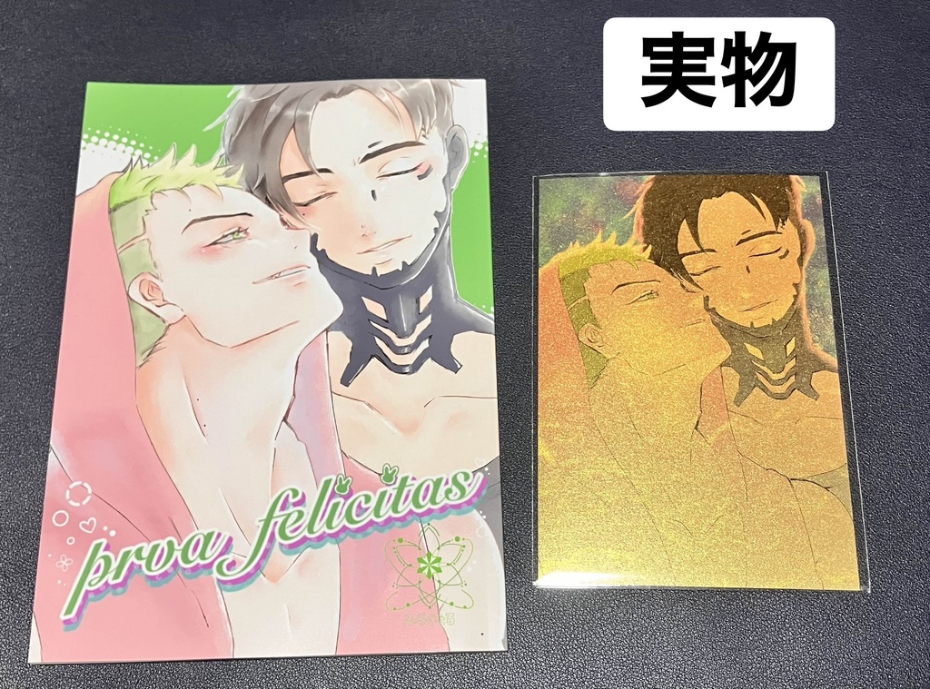 合同誌『parva-felicitas』