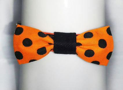 ハロウィン・橙蝶ネクタイ
