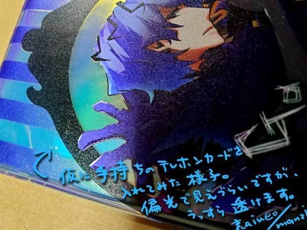 Ib-オーロラパスケース