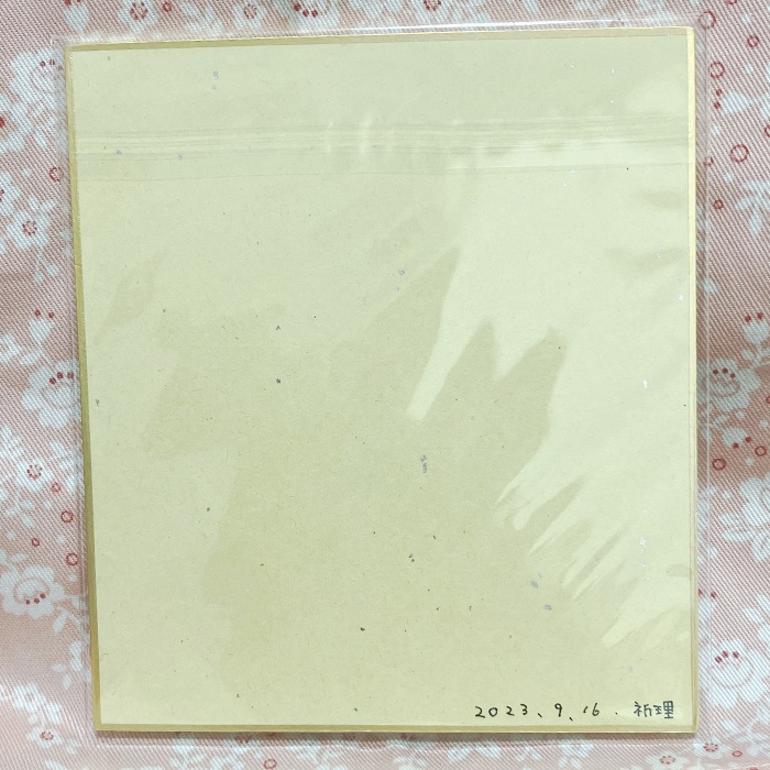 【原画】東方project 「フラン」 小色紙 額なし あんしんBOOTHパック