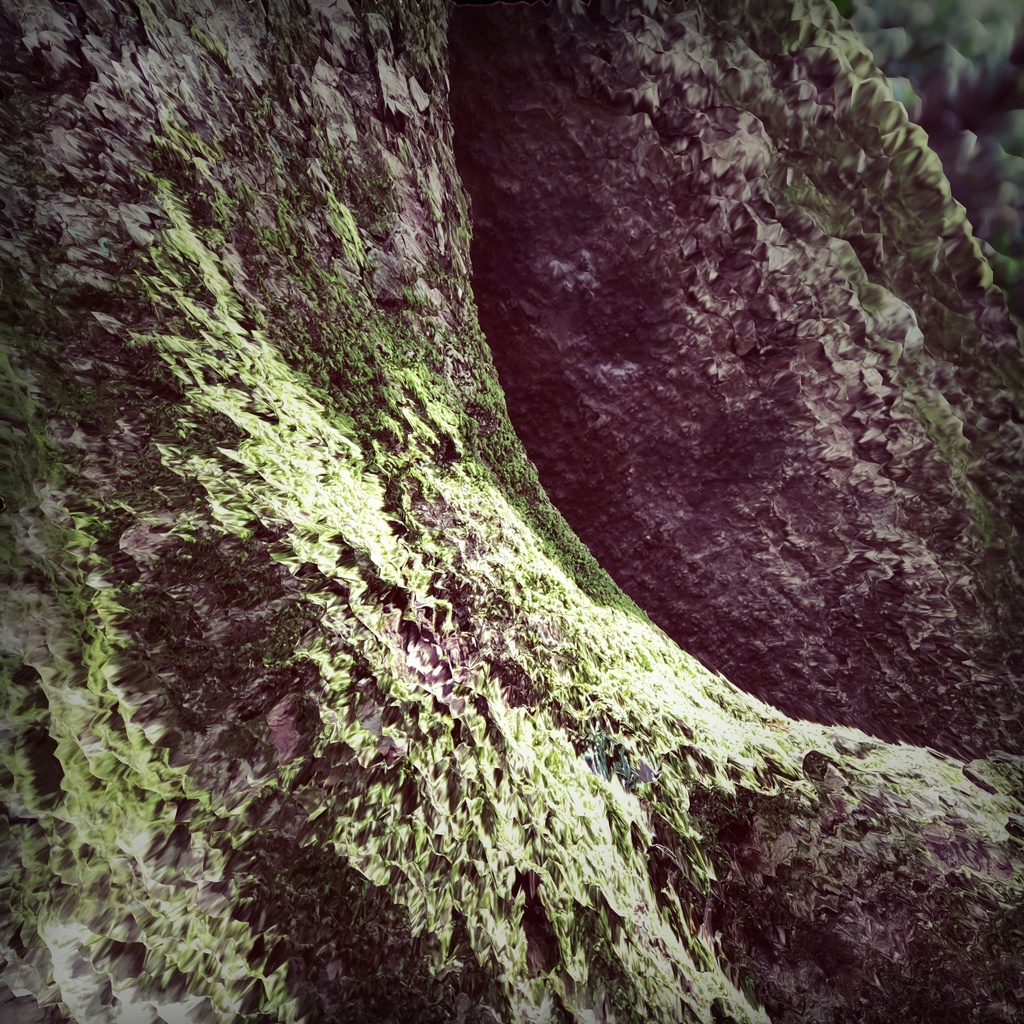 Yozhik「Moss (Monthly Ambient #01)」