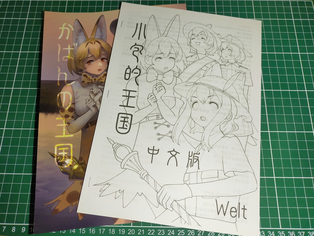 小包的王国 中文版