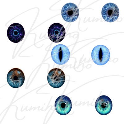 IRIS VROID