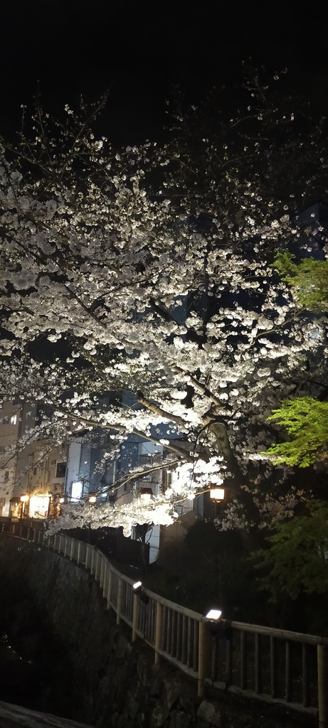 Tokyo_Scenery_Photo_Collection