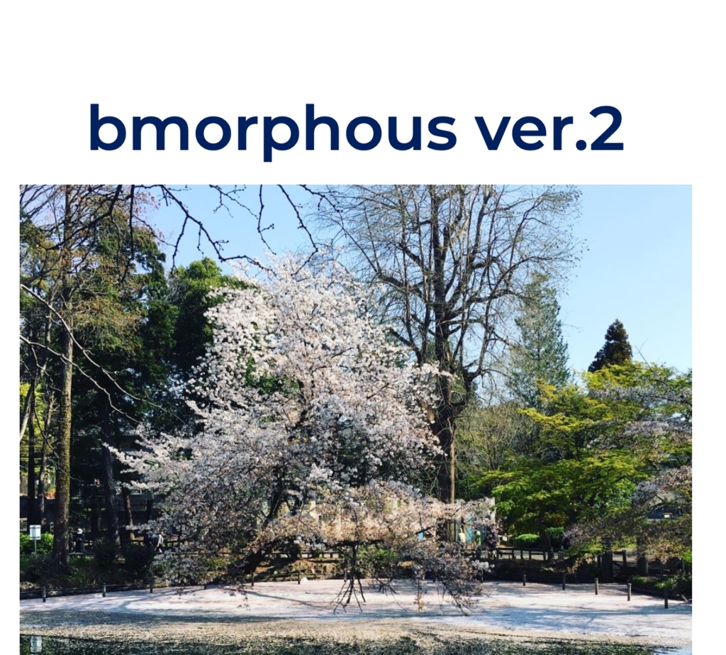 【エクセルファイル付き】bmorphous ver.2