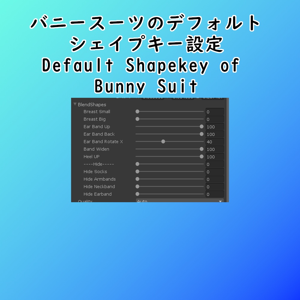 桔梗用半透明バニースーツ || Kikyo See Thru Bunny Suit