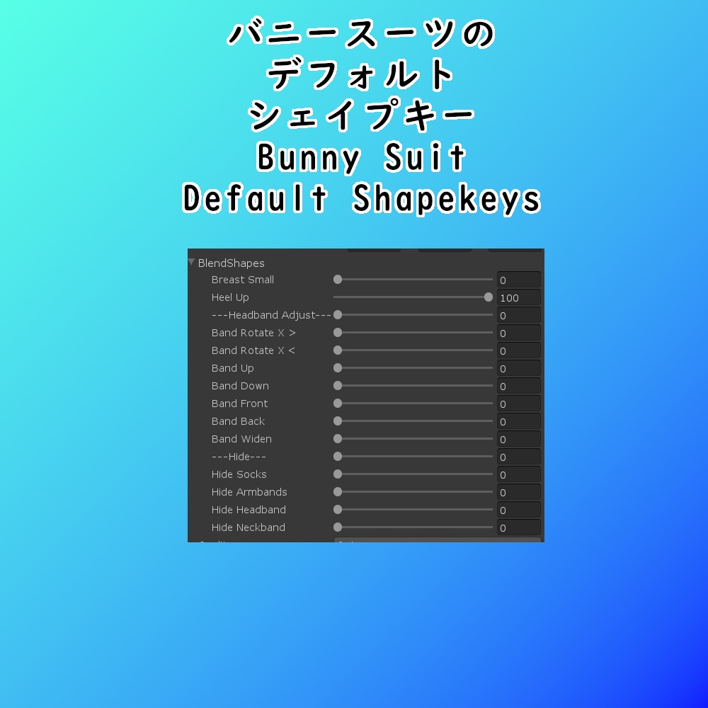 舞夜用半透明バニースーツ || Maya See Thru Bunny Suit