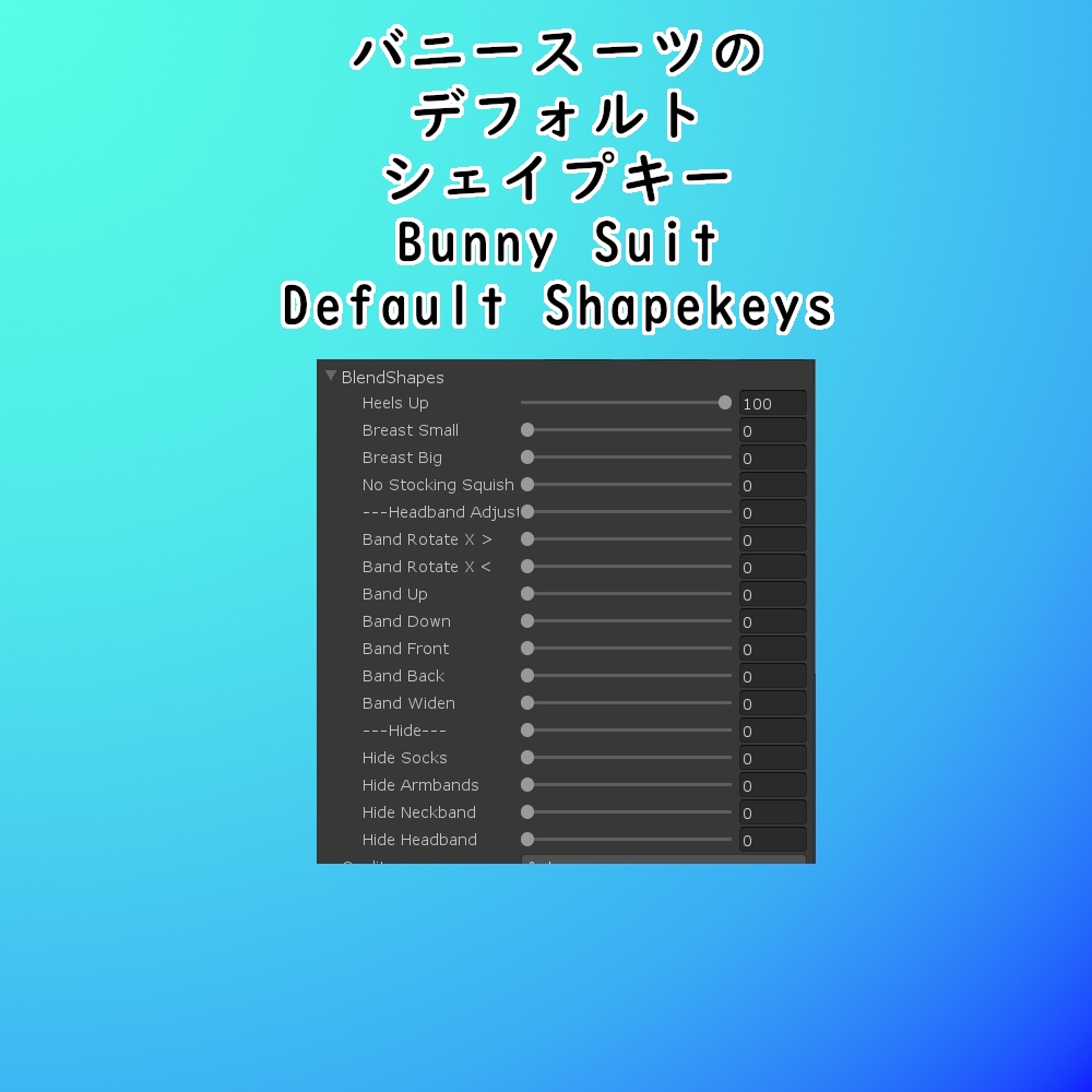 セレスティア用半透明バニースーツ || Celestia See Thru Bunny Suit