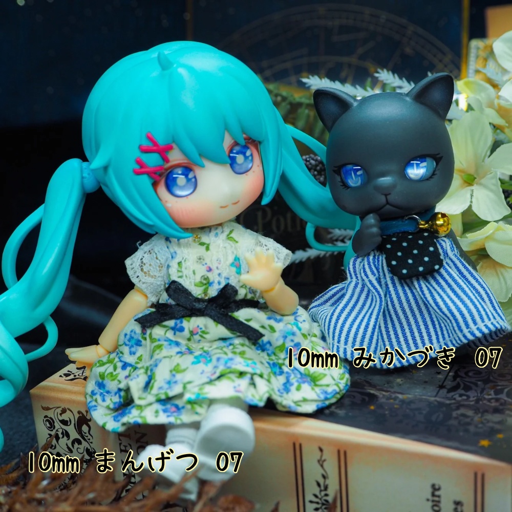 猫とお月様アイ