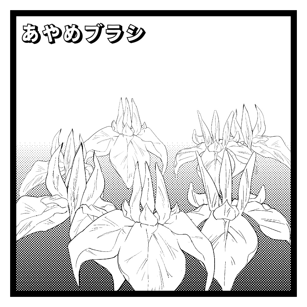 【無料】あやめブラシ